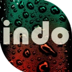 Logo of Indonesian Music android Application 